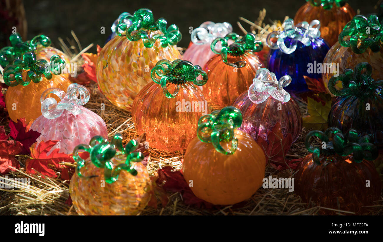 Multi colored glass blown pumpkins illuminated by sun arranged in a country setting with hay and maple leaves. Stock Photo