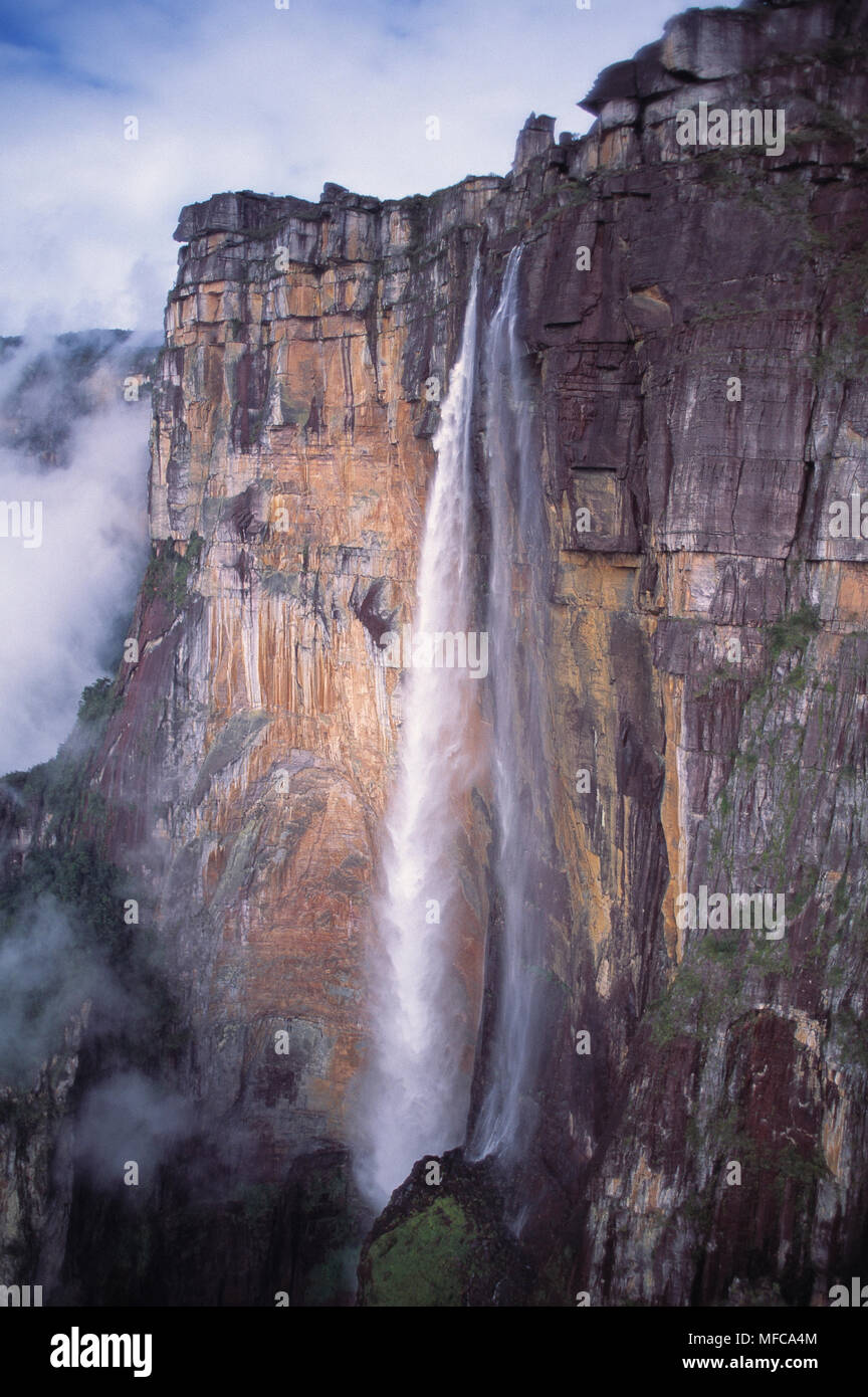 ANGEL FALLS (height 990m) World's tallest single drop falls. Canaima NP