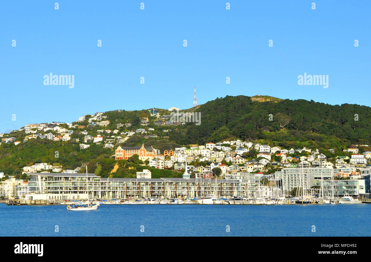 Chaffers Marina in Wellington Harbour, NZ, looking up to Mt Victoria and St Gerard's Stock Photo