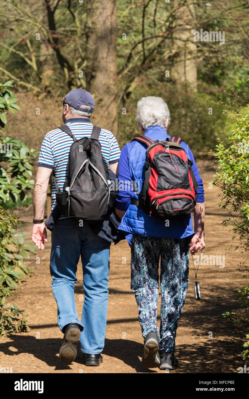 A couple of elderly, grey-haired, pensioners backpacking in the woods on a hot summer's day. Stock Photo