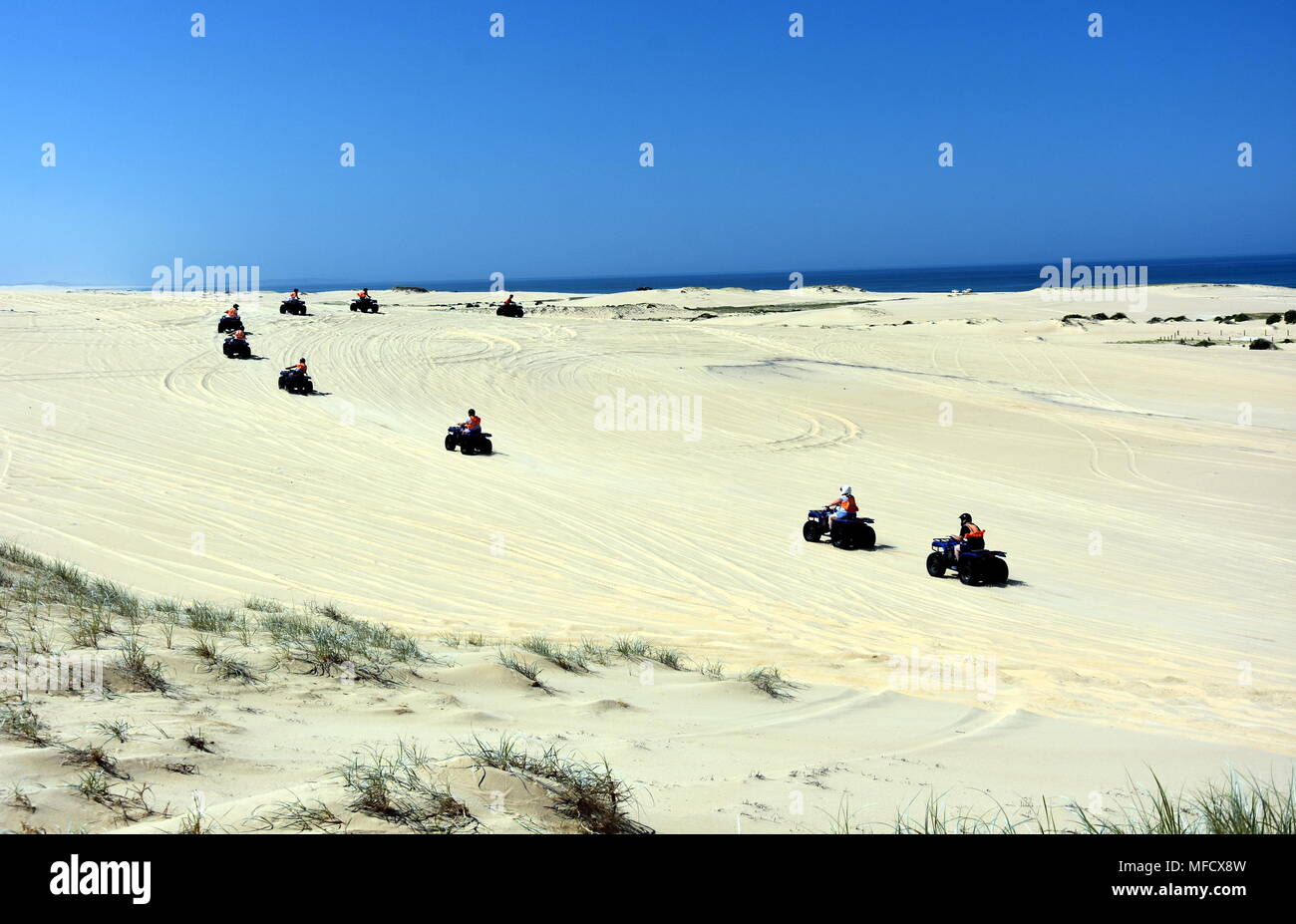 Happy quad bikers driving in sand dunes at Anna bay (Newcastle, NSW