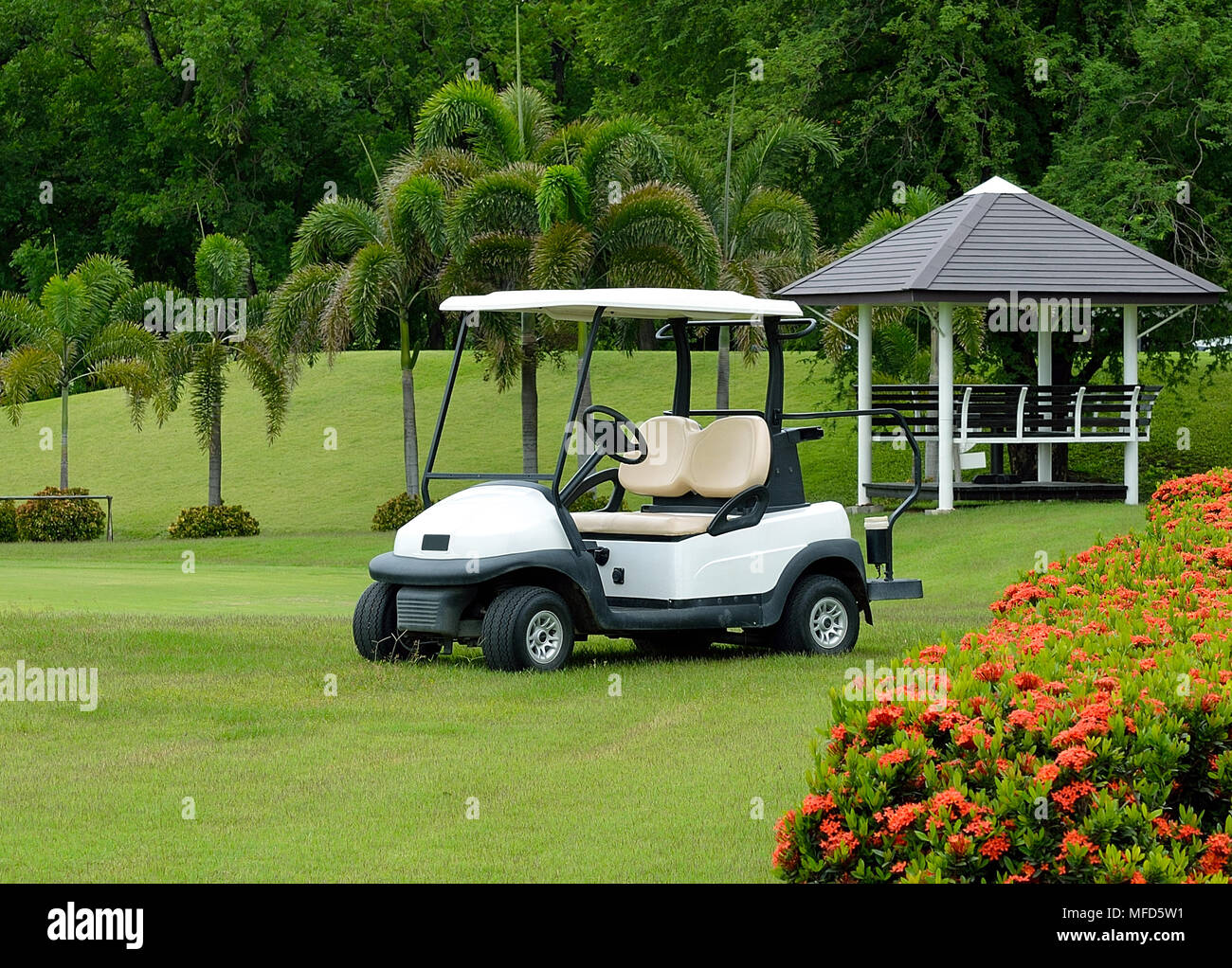 Golf buggy white hi-res stock photography and images - Alamy