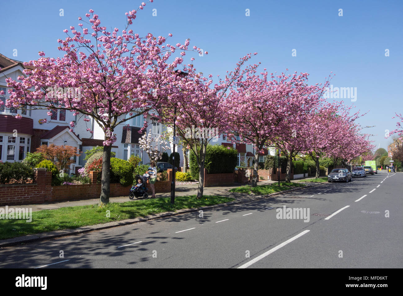 Staveley road hires stock photography and images Alamy