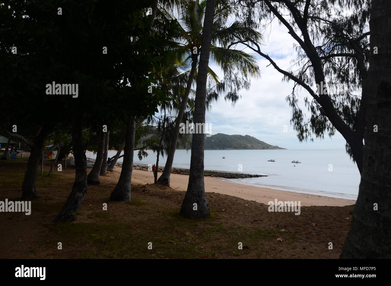 Island, Picnic Bay QLD, Australia Stock Photo Alamy