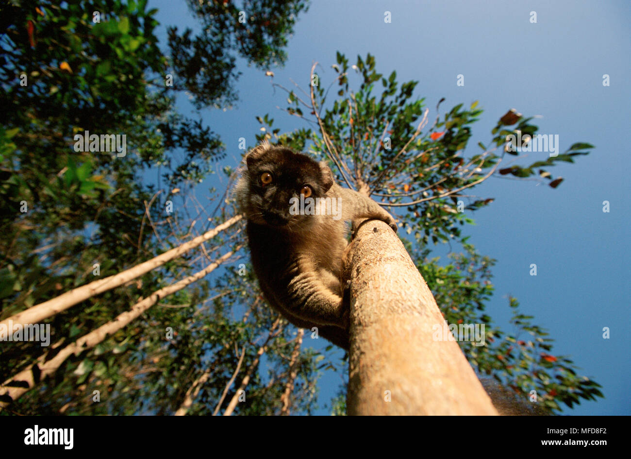 картинки вавава. вавави. денег надо играй. фото вававой. вавава.