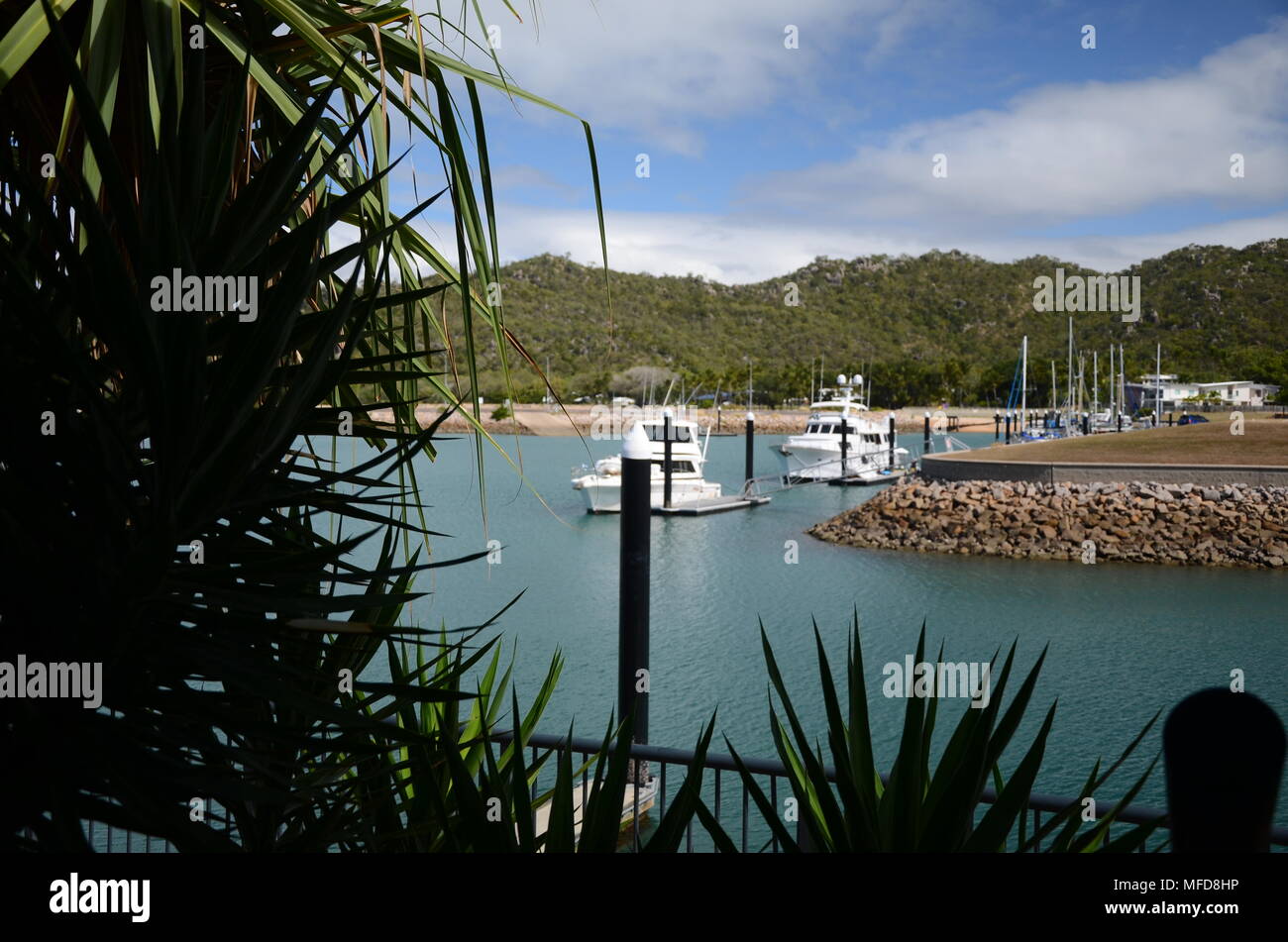 Nelly Bay marina, island Stock Photo Alamy