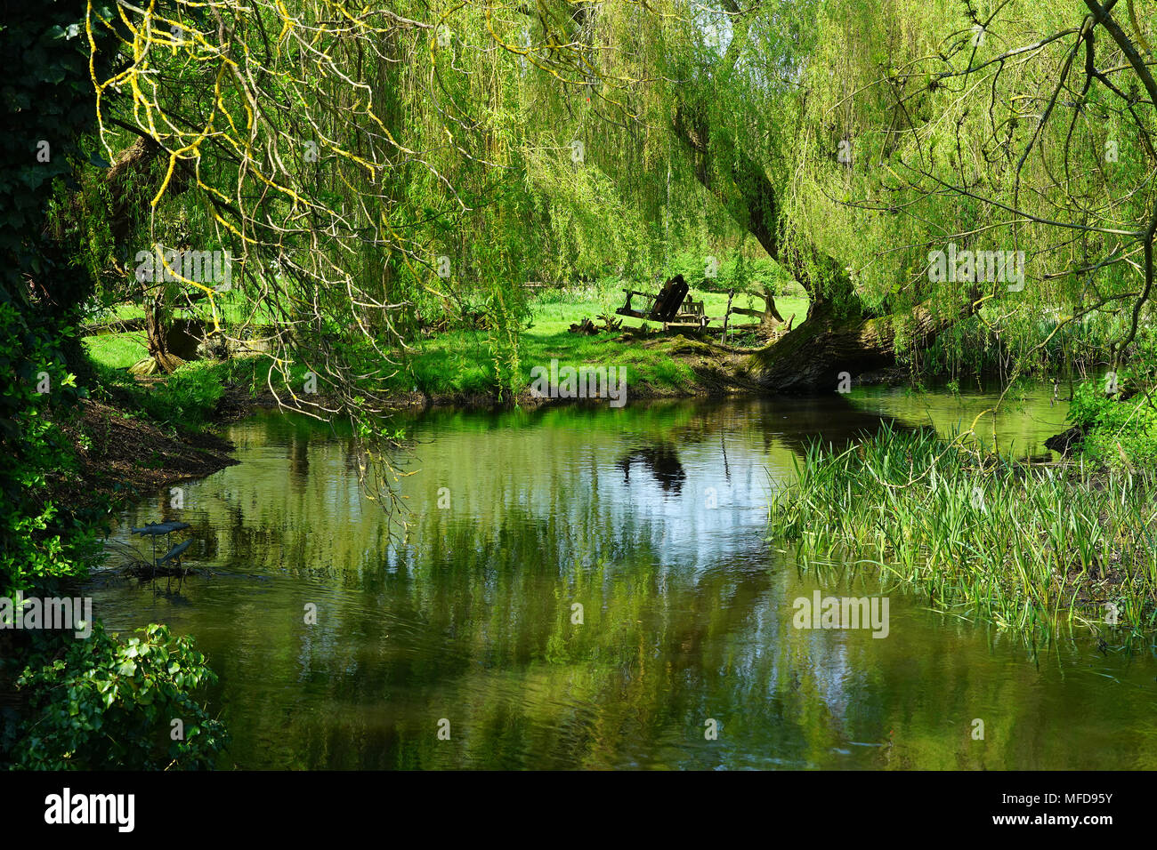 The River Lea viewed from the footbridge at Waterend ford. Stock Photo