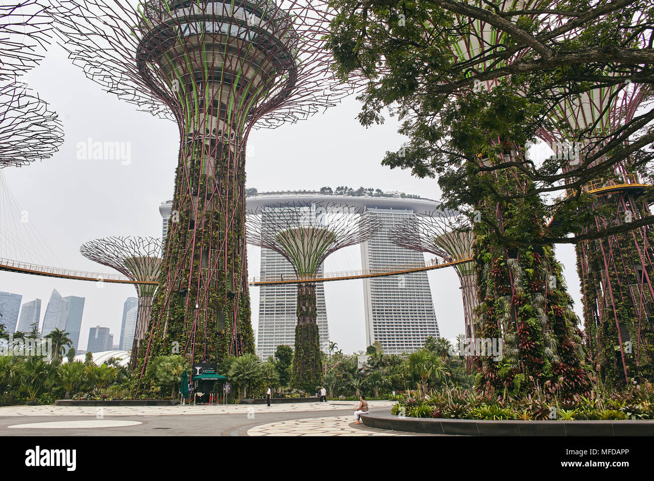 The close-up view from low angle of the Super Trees in Gardens by the Bay with some people enjoying in the park, The Marina Bay Sands in background Stock Photo