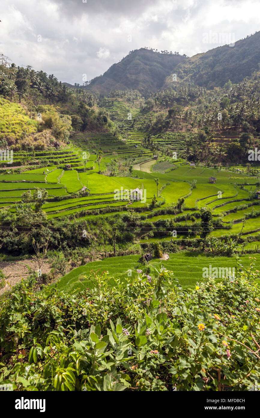 Bali: Pulau Bali, Provinsi Bali) is an island and province of Indonesia