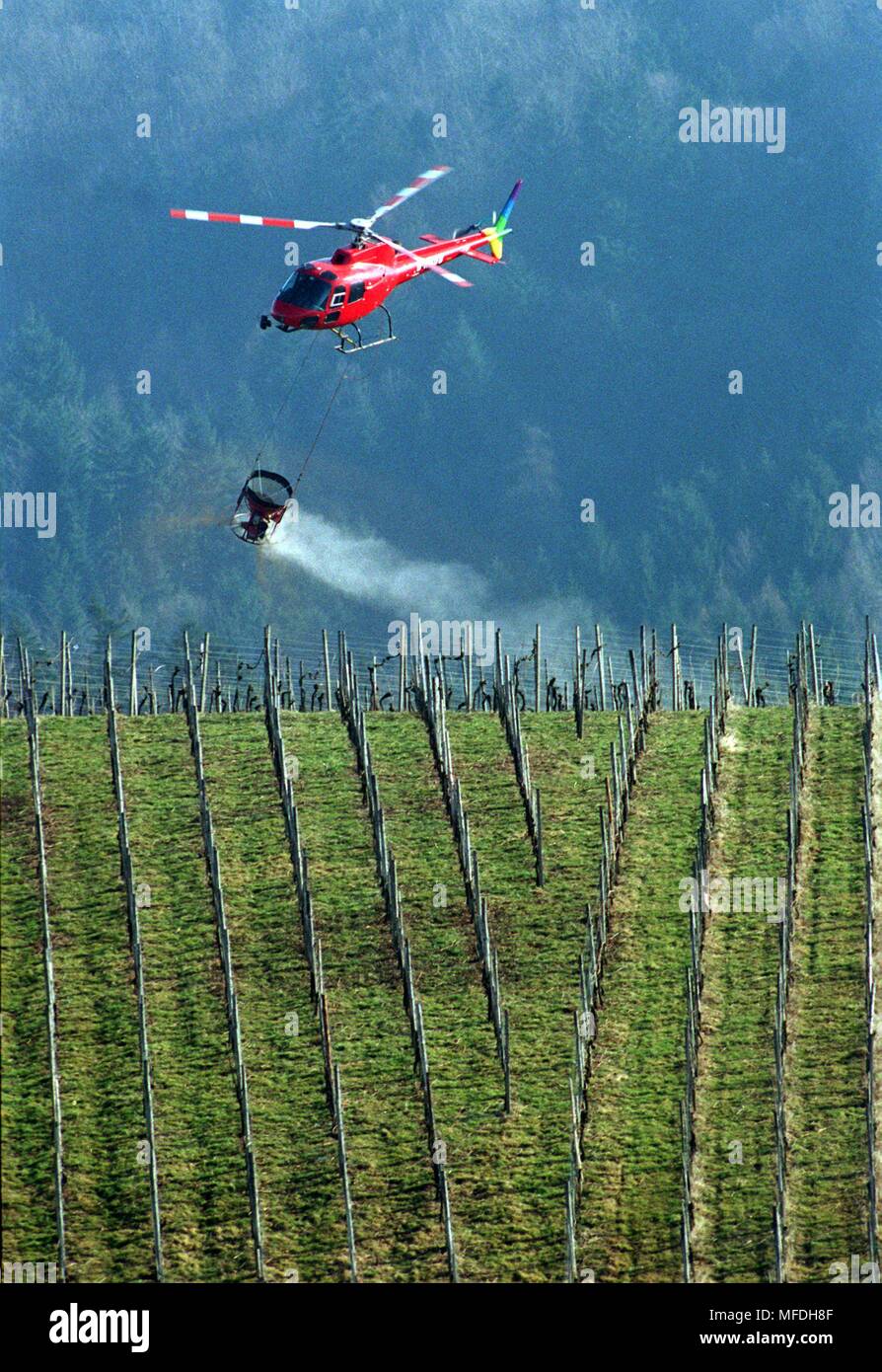The vineyards of the Baden wine village Buchholz im Breisgau will be hanged on 28.2.96 by helicopter. The product is a granulate made up of the nutrient components lime, magnesium, boron and potash. After several years, the forests in Baden-Wurttemberg have been successfully chalked by helicopter. Now, aerial fertilization is also applied to agricultural flaughs. | usage worldwide Stock Photo