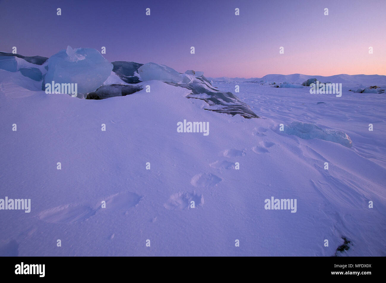 nordisk svalbard footprint