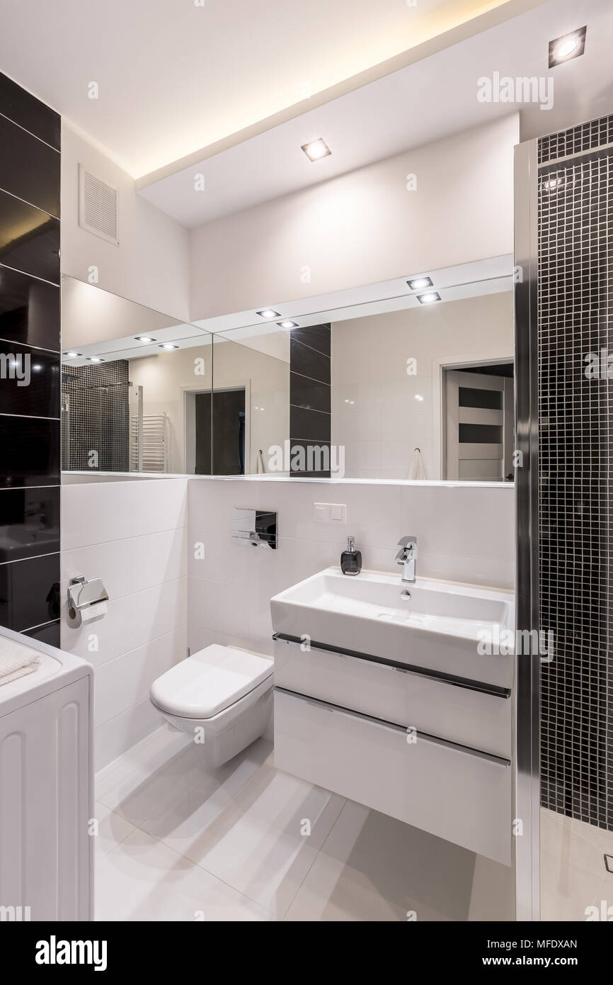 Black And White Bathroom With Toilet Cabinet Basin And Mirrors