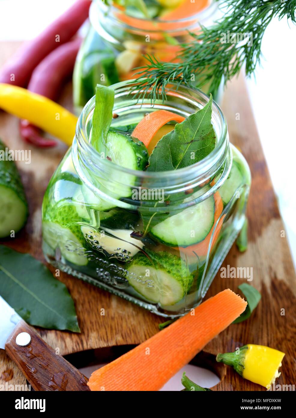 Making pickling cucumbers Stock Photo