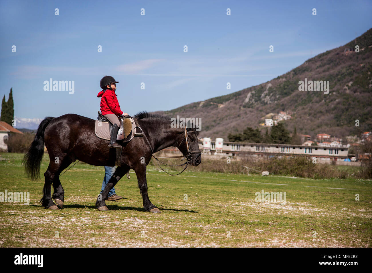the first exercise on a horse . the boy meets equestrian sports in the