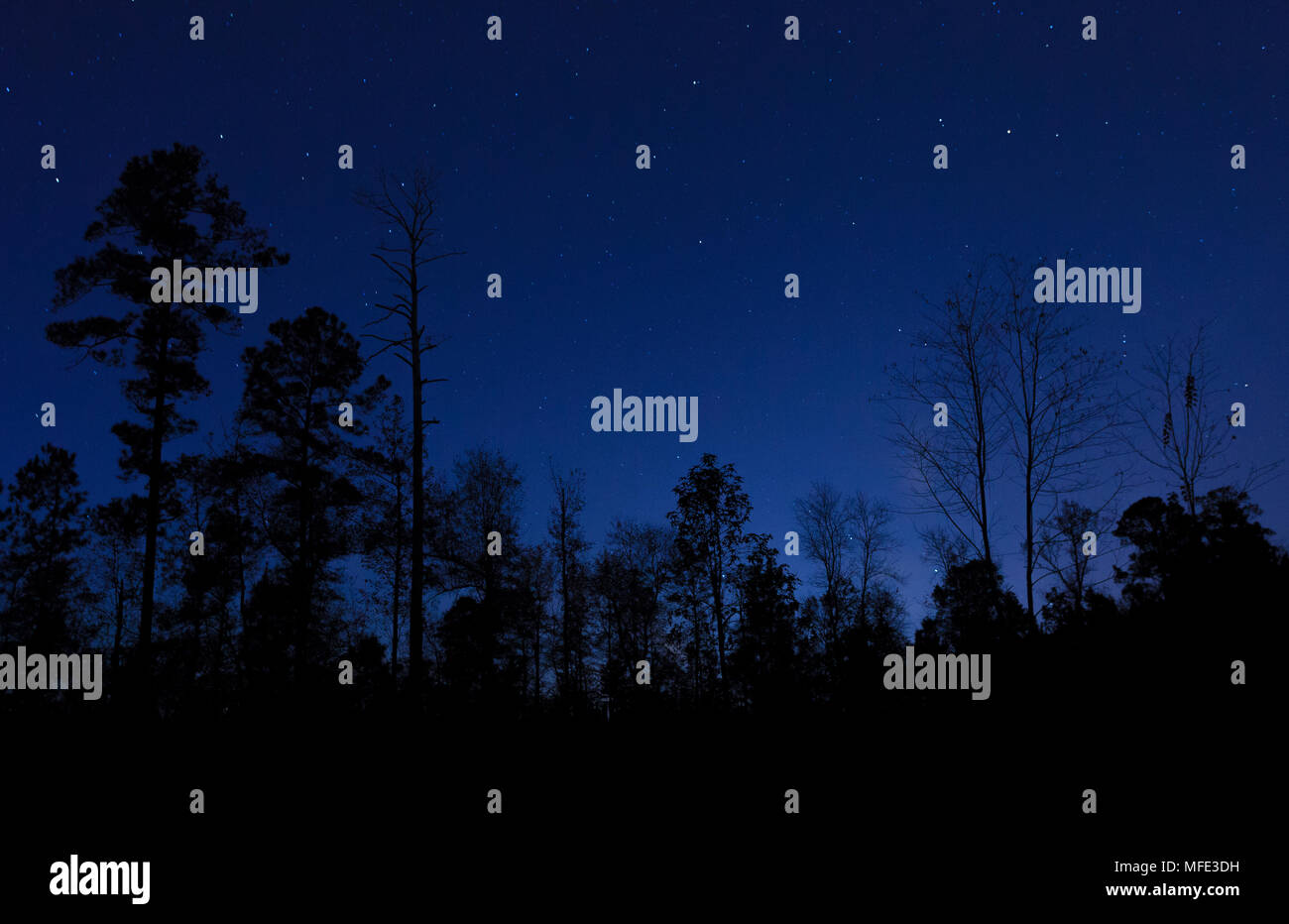Stars against black sky hi-res stock photography and images - Alamy