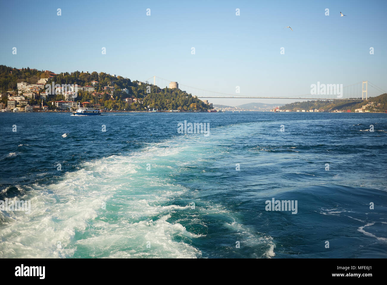 Trail on water surface behind of fast moving motor boat Stock Photo - Alamy