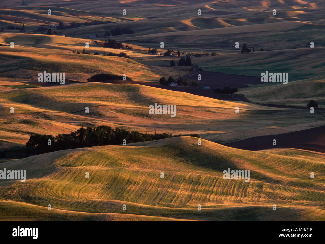 FARMLAND Palouse Area, Washington, USA Stock Photo - Alamy