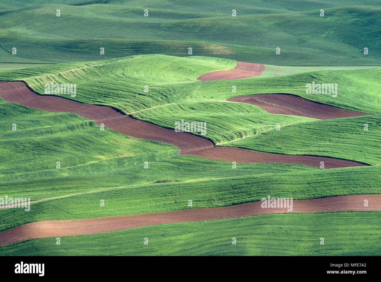 Ploughing patterns hi-res stock photography and images - Alamy