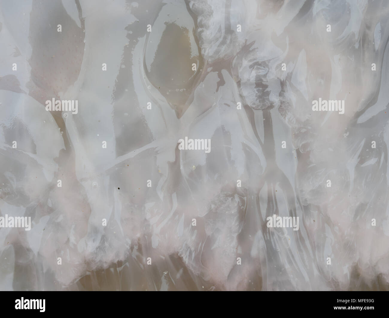 Organic texture in abstract form and pattern of pink dead jellyfish ...