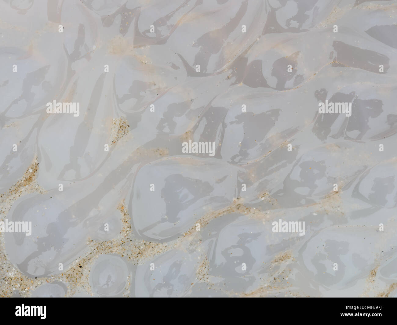 Organic texture in abstract form and pattern of pink dead jellyfish ...