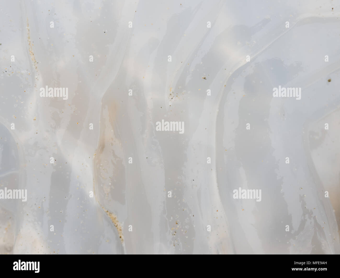 Organic texture in abstract form and pattern of pink dead jellyfish ...