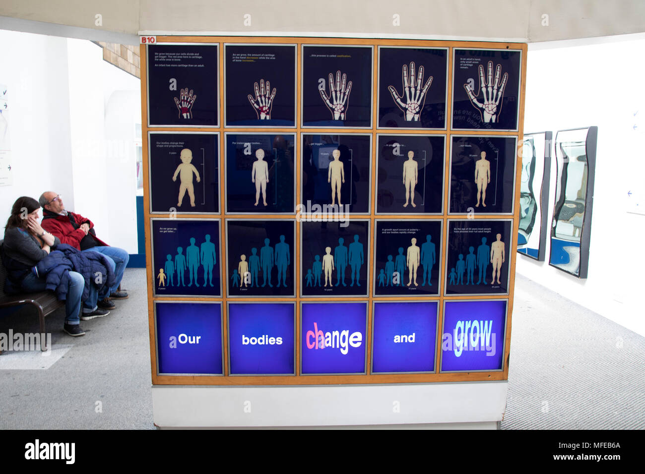 Human biology room at the Natural History Museum in London, England