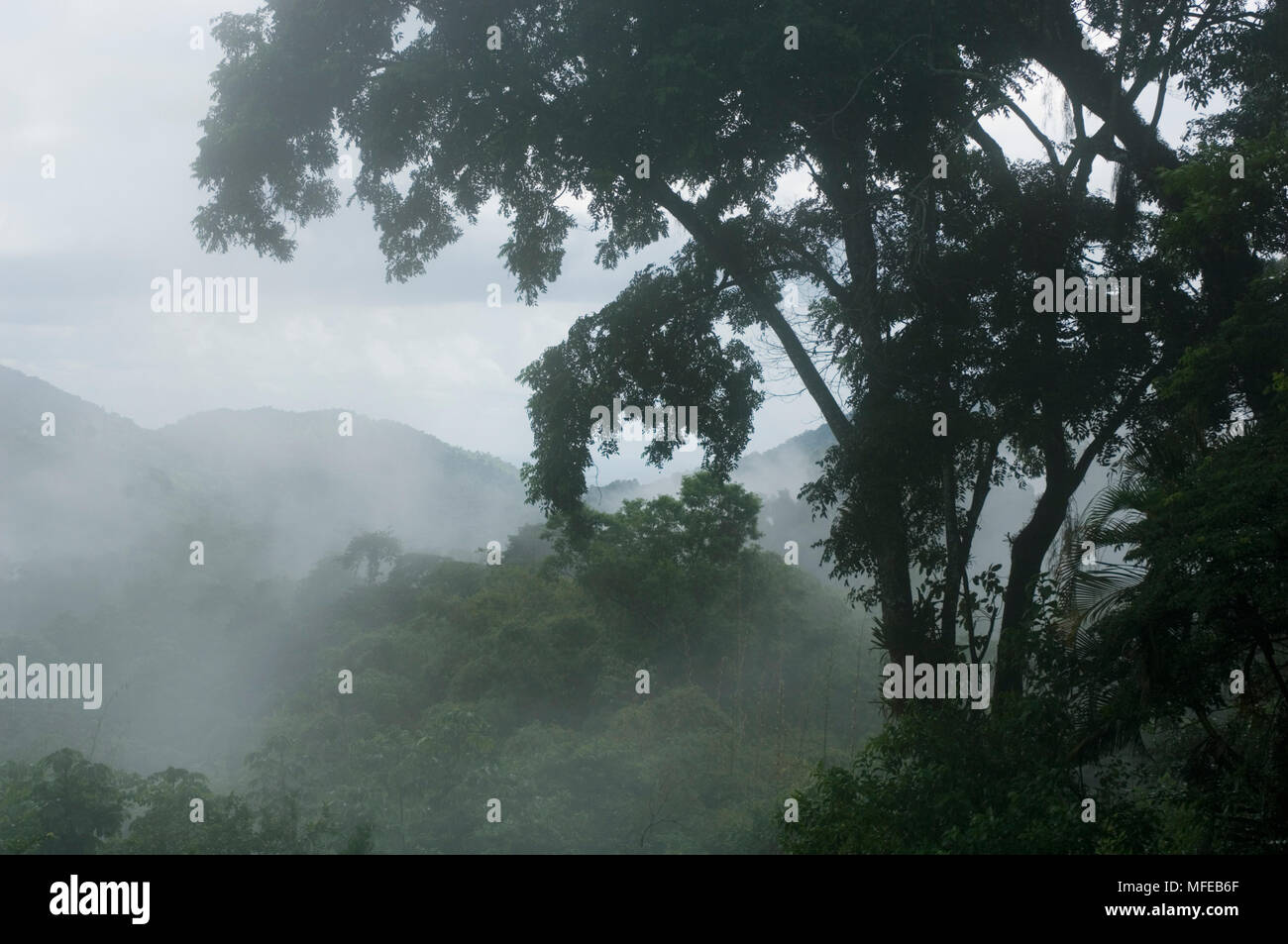 ARIMA VALLEY in the rain View from Asa Wright Nature Centre Northern Range, Trinidad. Stock Photo
