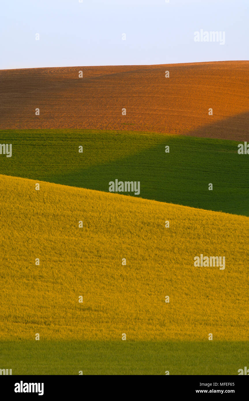 Variety of colors of the fields hi-res stock photography and images - Alamy