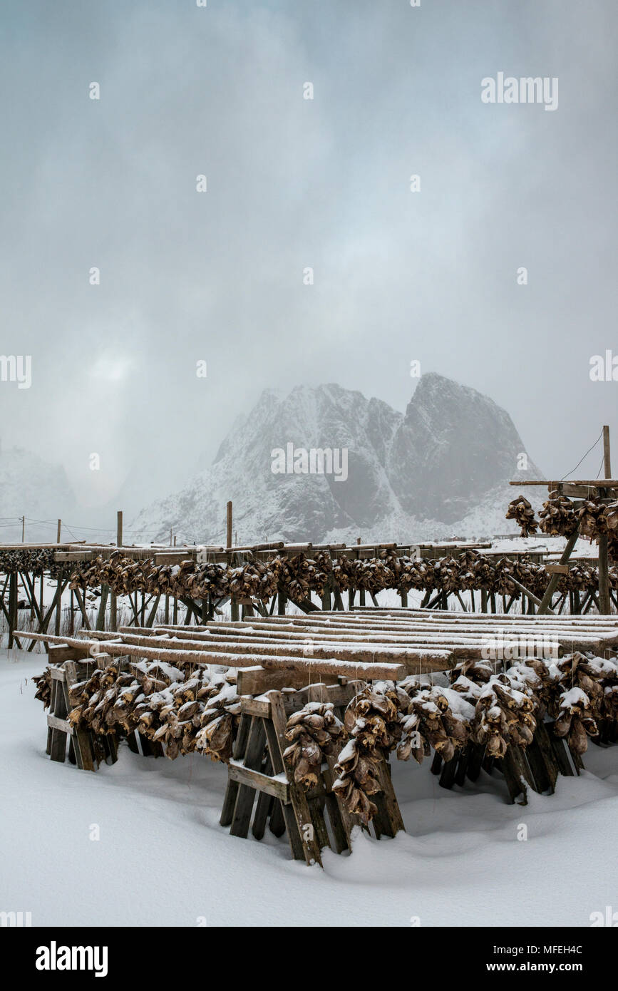 Fish drying rack hi-res stock photography and images - Alamy