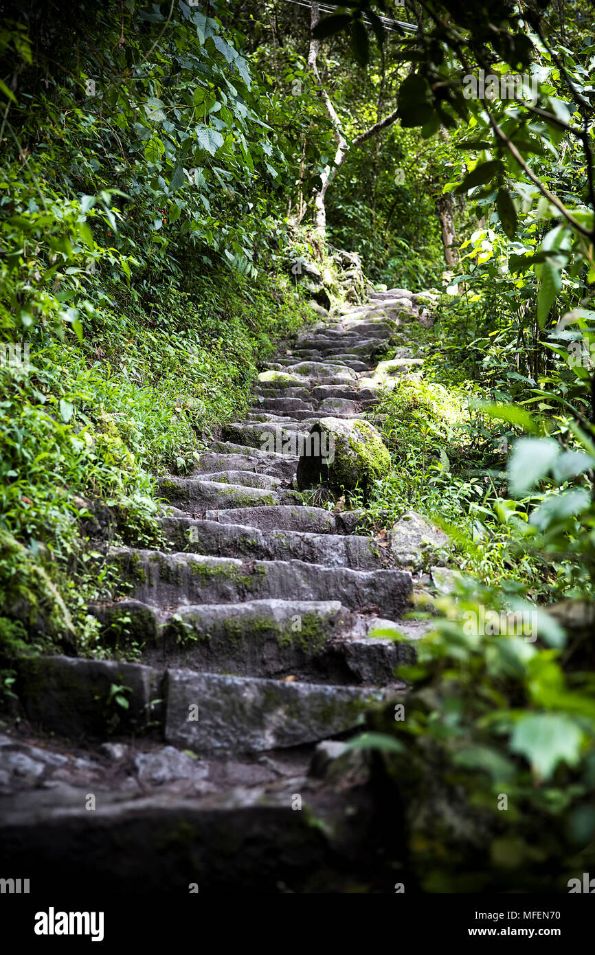 Detail of the Machu Picchu Inca citadel in Peru Stock Photo - Alamy