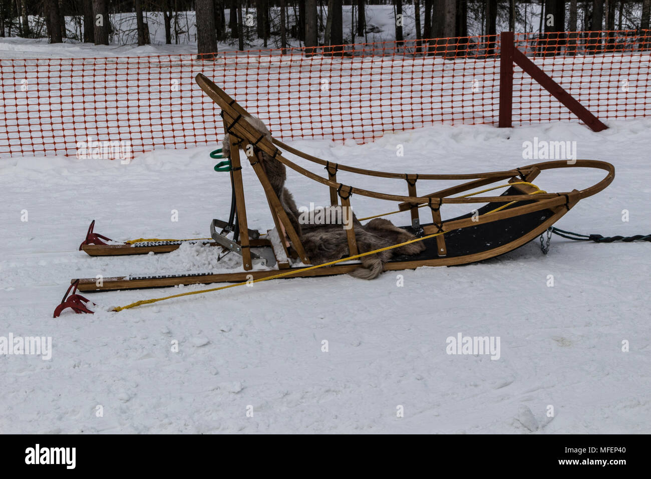 Sled for running on dog sleds Stock Photo Alamy