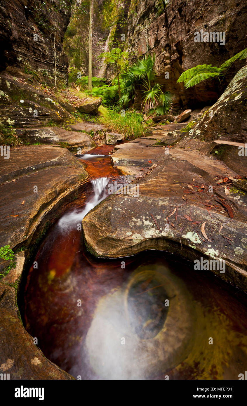 Ward's Canyon, Carnarvon National Park, Queenland, Australia Stock Photo