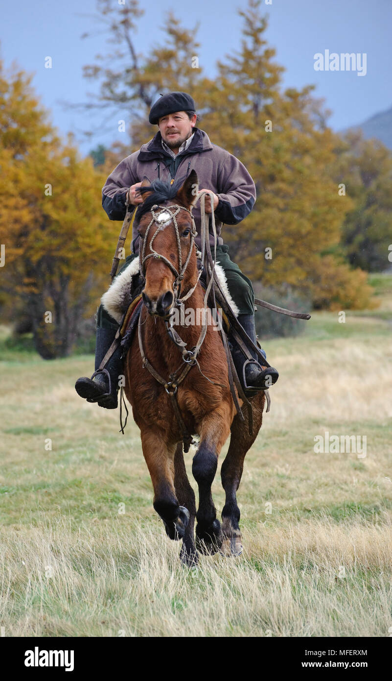 Gaucho; Patagonia, Chile Stock Photo - Alamy