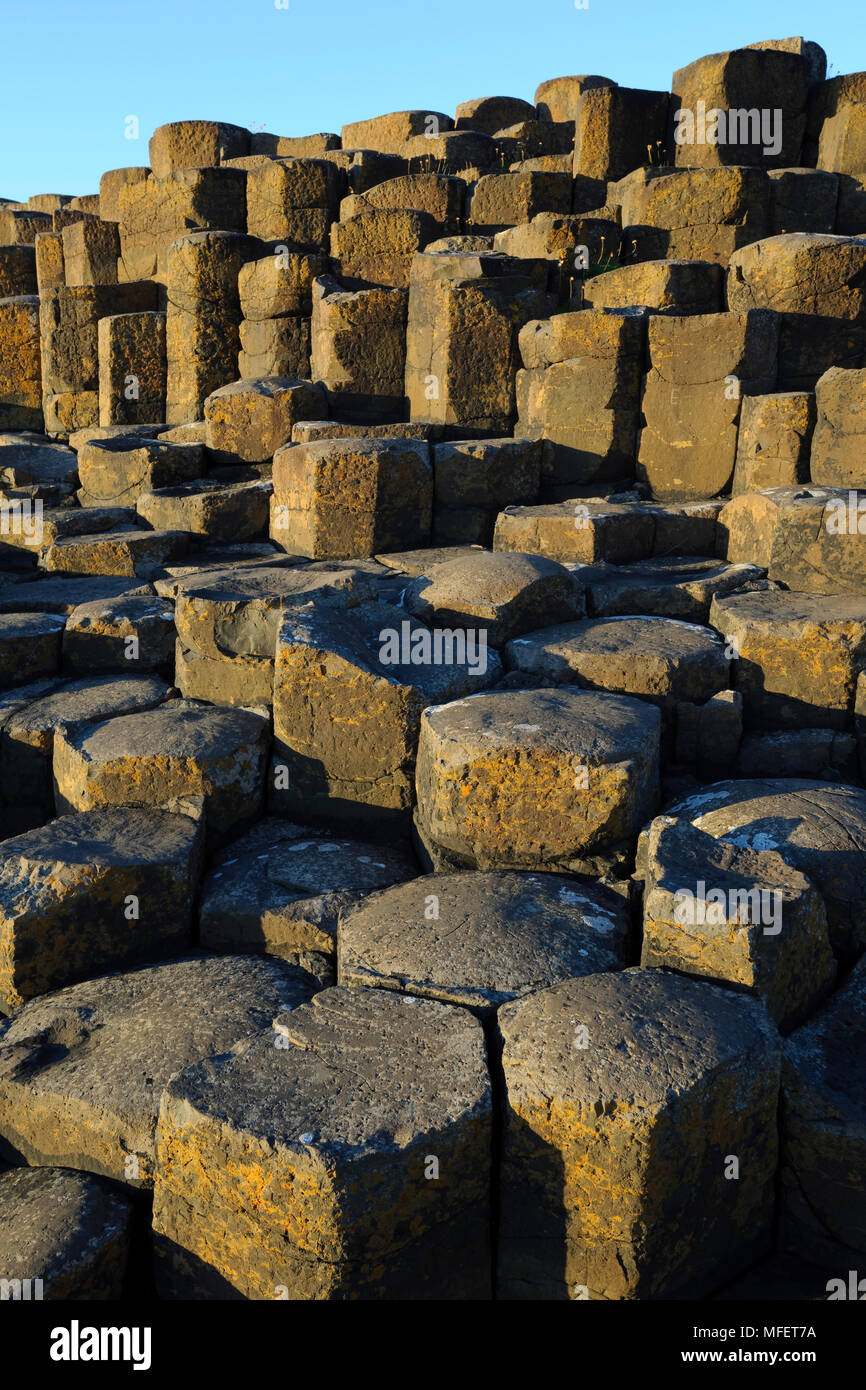 The Giant's Causeway; County Antrim, Northern Ireland.  The Giant‚Äôs Causeway, a UNESCO World Heritage Site, is an area of interlocking basalt column Stock Photo