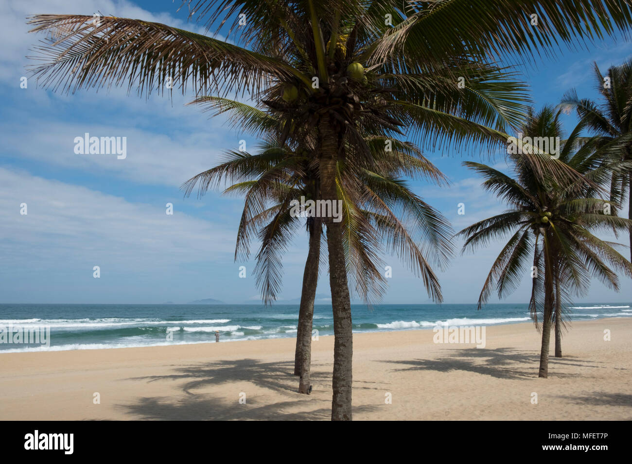Palm trees on My Khe Beach next to the Four Seasons Nam Hai Resort near Hoi An, Quang Nam Province, Vietnam, Southeast Asia Stock Photo