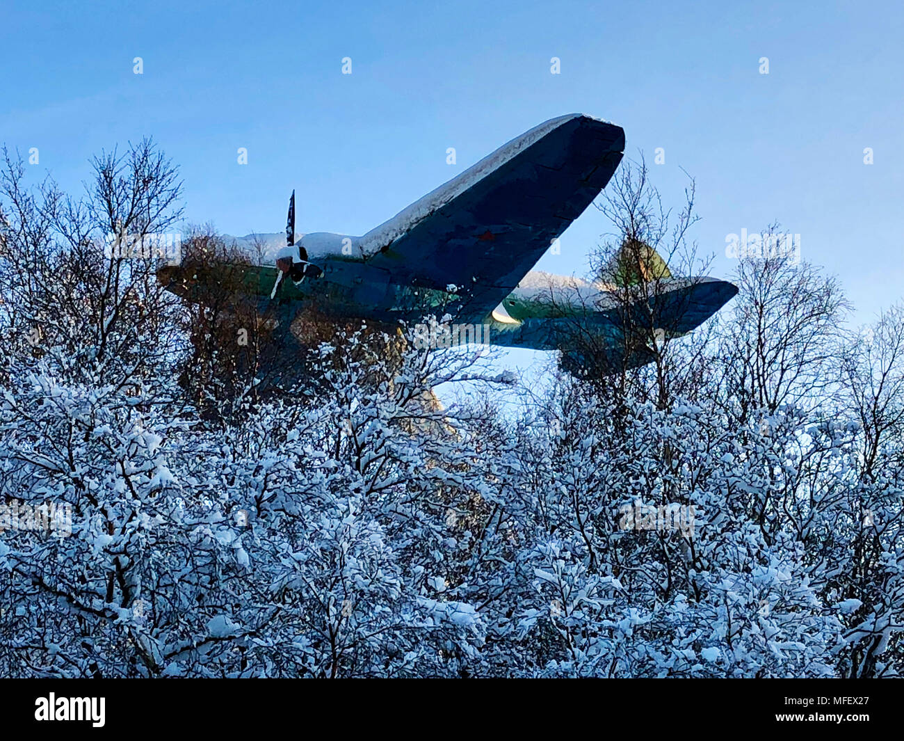 World War II aircraft stuck in the trees Stock Photo