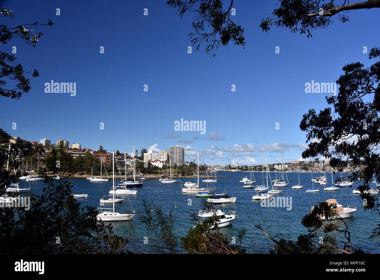 Manly buildings skyline from Wellings Reserve. Many yachts in North