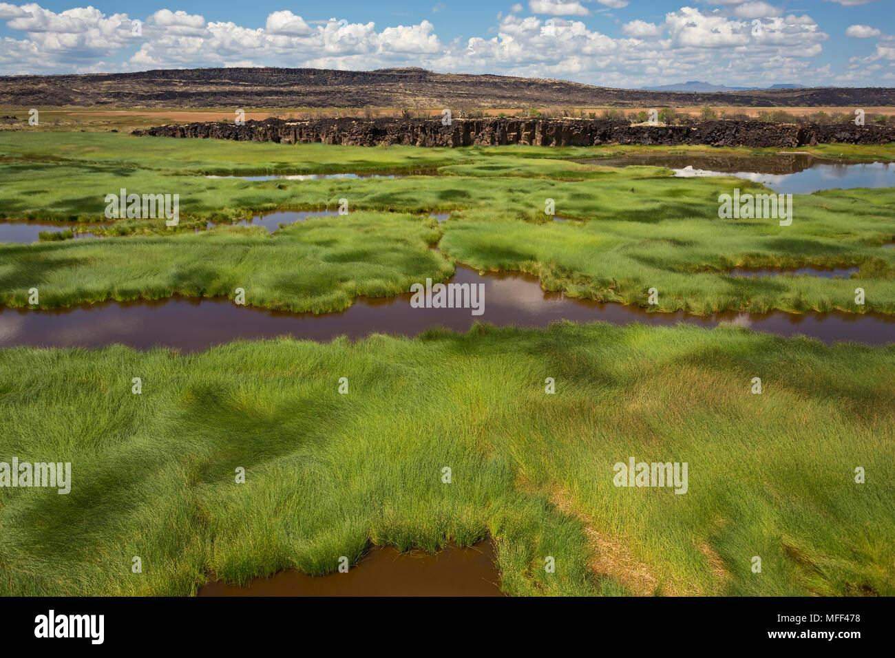 The Suguta river originates in a stream of water that emerges from the