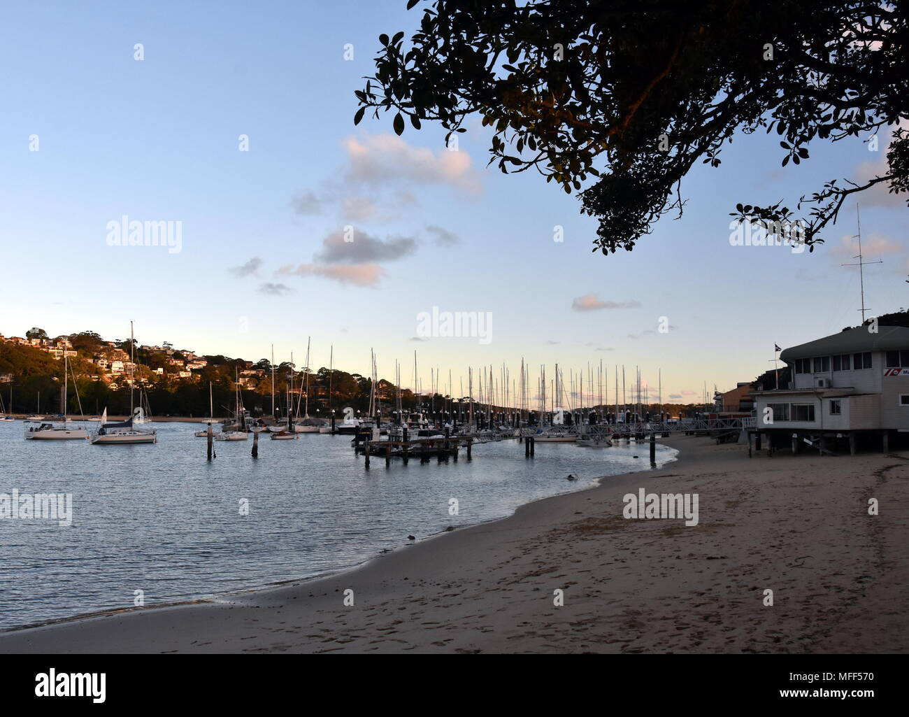 Many moored yachts and boats in Sandy bay at low tide (The Spit, Sydney