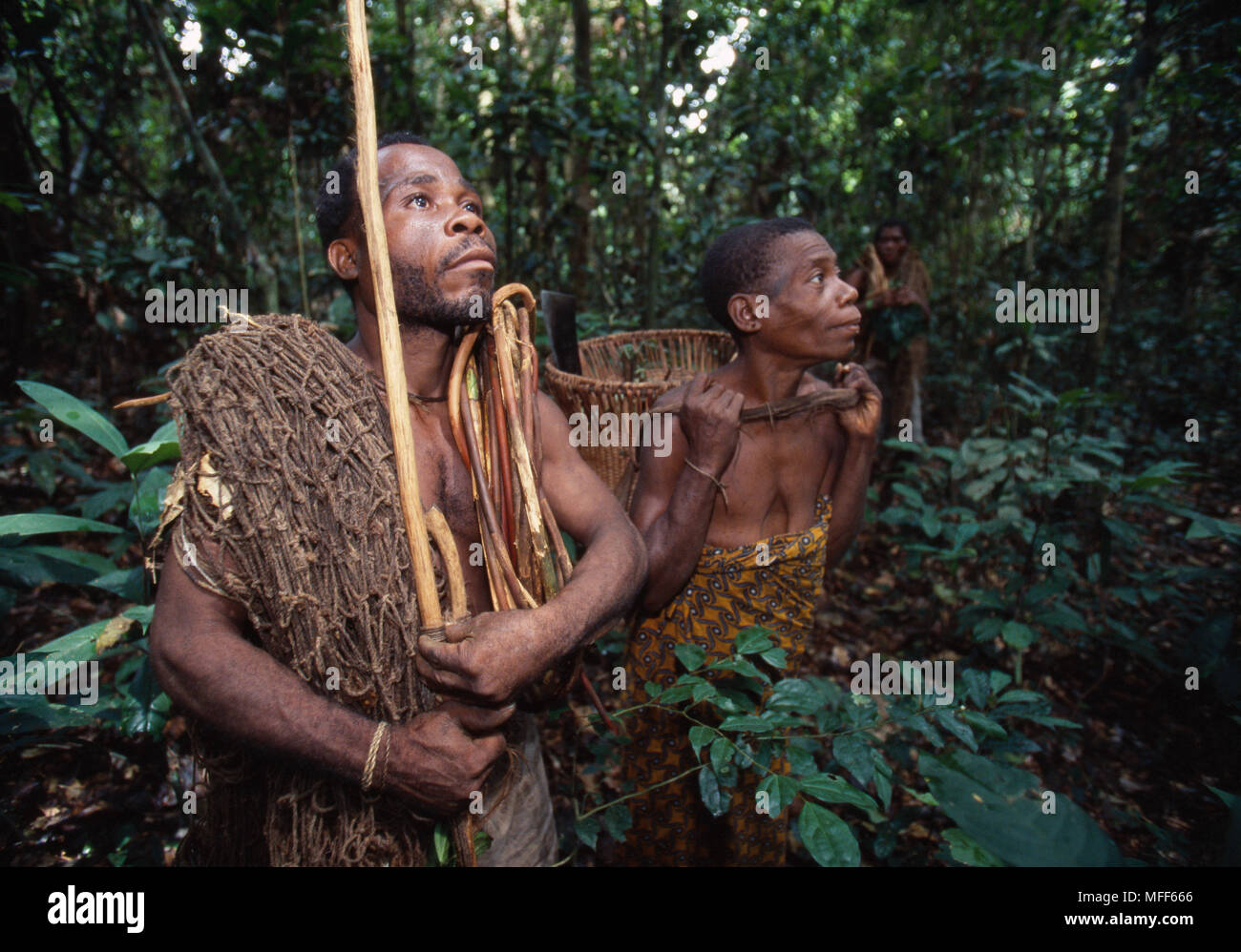 PYGMIES OF THE BAKA TRIBE subsistence hunters with net used in  traditional net hunting  Cameroon &  Central African Republic Stock Photo