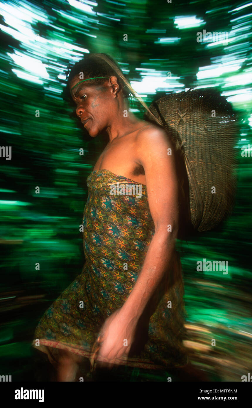 BAKA PYGMY moving through rainforest with collecting basket on head. Cameroon and Central African Republic. Model released. Stock Photo