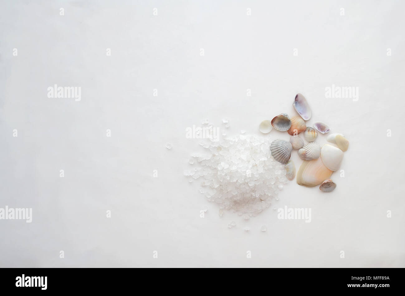 Sea salt and shells on a white background. Background for Thalassotherapy and Spa. Stock Photo