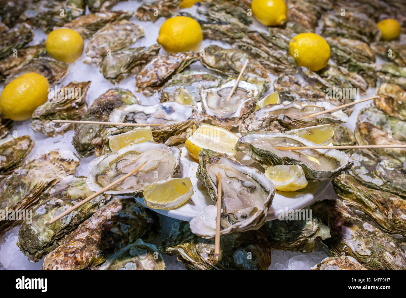 Opened fresh oysters on ice with lemon Stock Photo