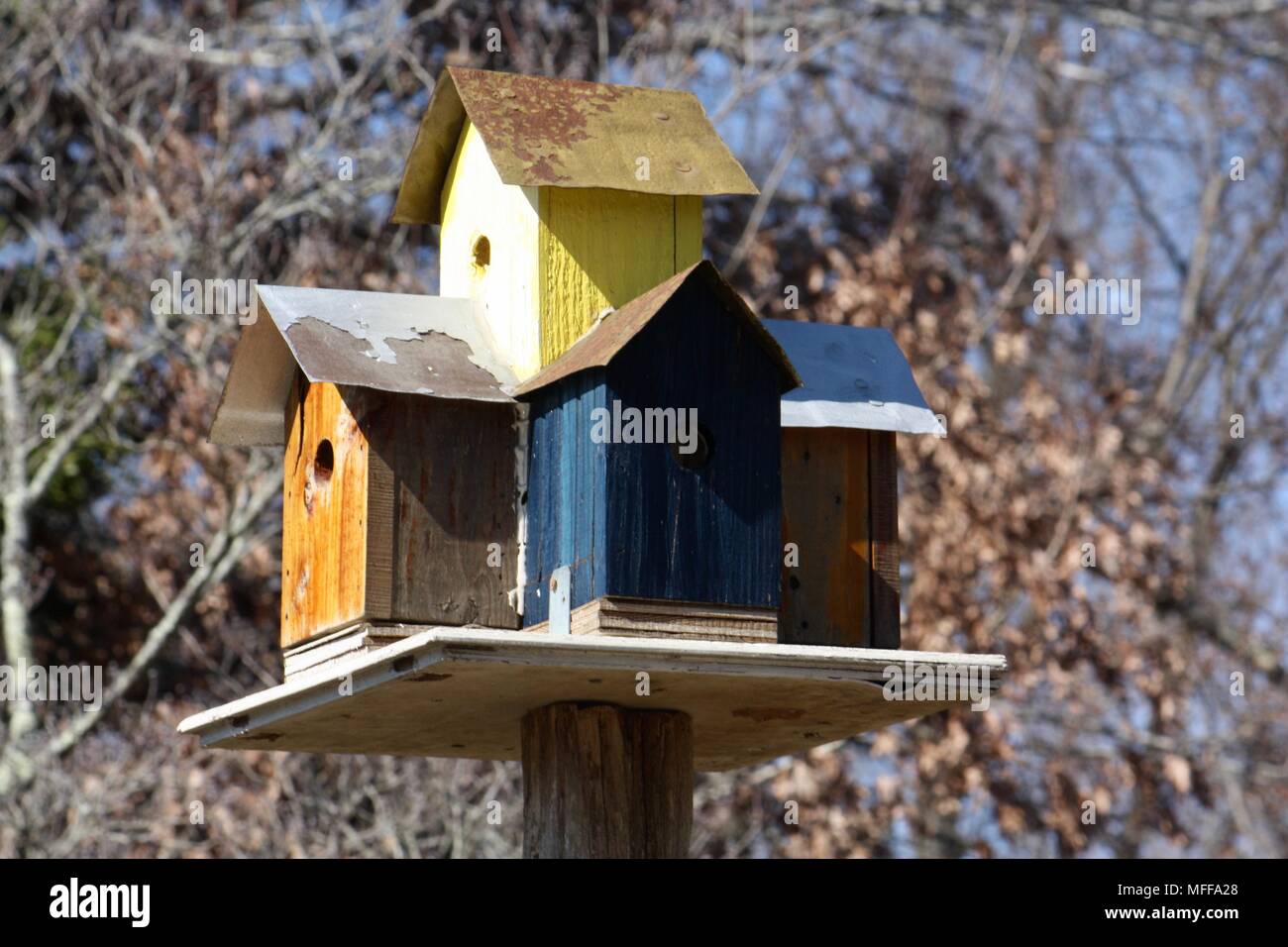 View of Bird Condo's Available Stock Photo - Alamy