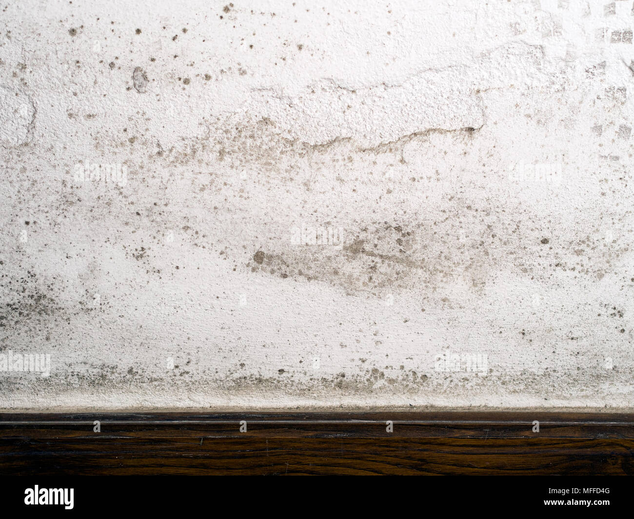Unhealthy mold, mould growing on interior house wall. Stock Photo