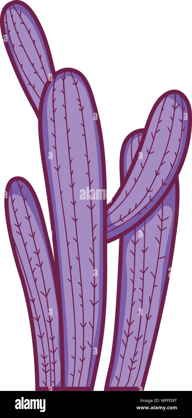 desert nature cactus plant design Stock Vector Image & Art - Alamy