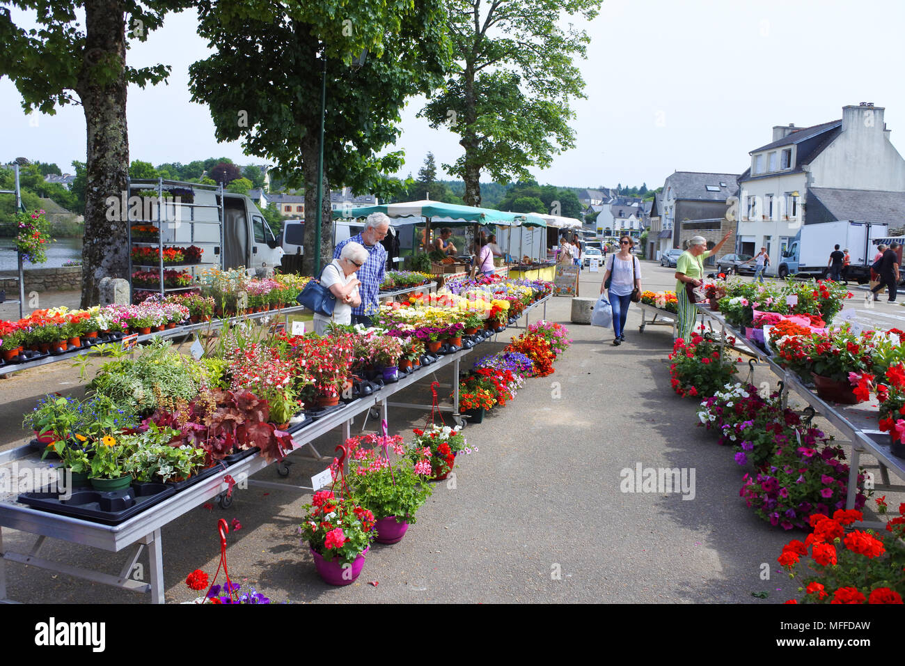 A plant and flower street market stall, Huelgoat, Brittany, France - John Gollop Stock Photo