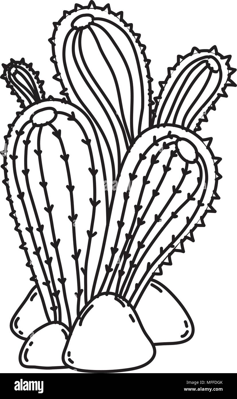 Featured image of post Desert Cactus Line Drawing New cactus designs everyday with commercial licenses