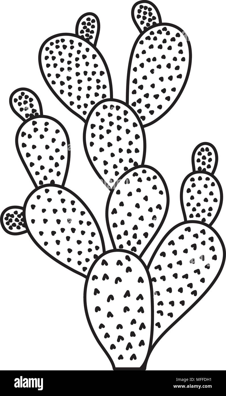 line tropical cactus nature desert plant Stock Vector Image & Art - Alamy