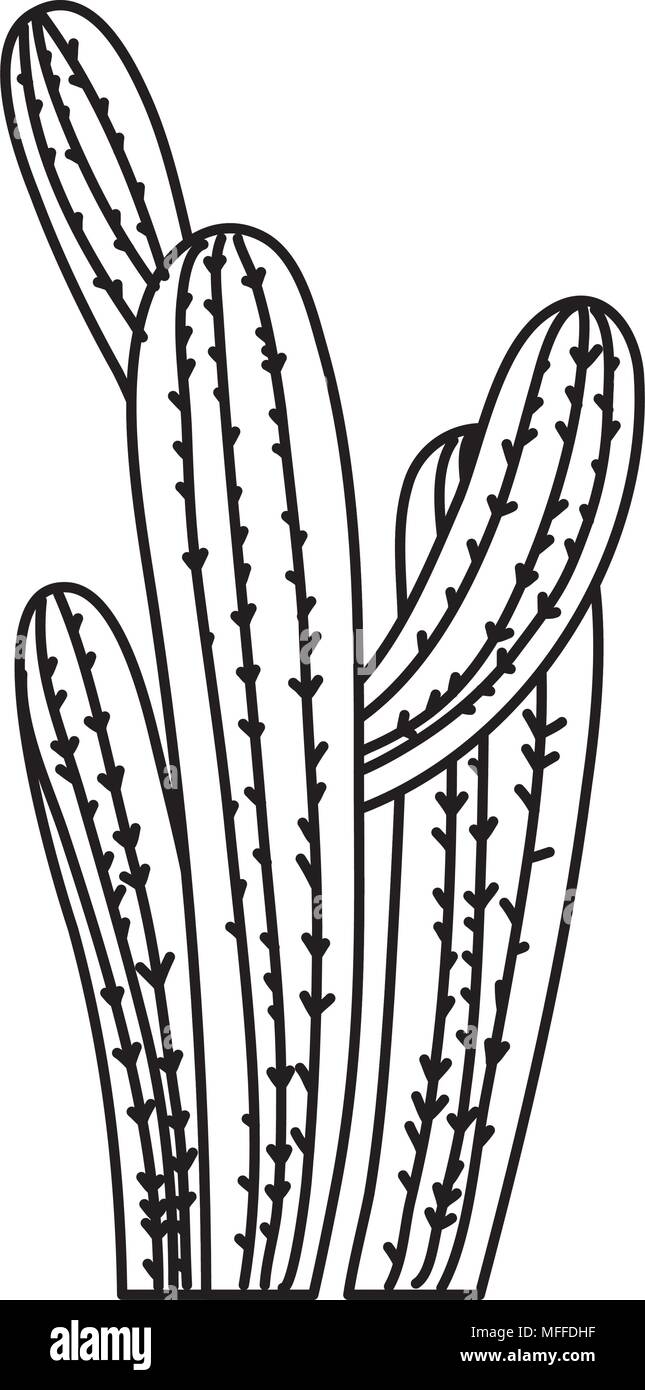 line desert nature cactus plant design Stock Vector Image & Art - Alamy